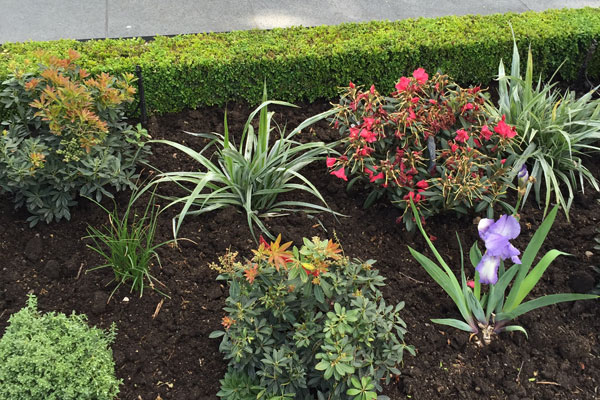 Previous TR Gardening project Example of previous TR Gardening work