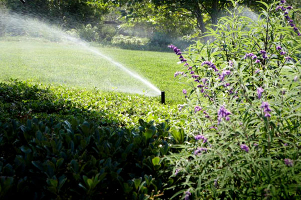 Micro irrigation Melton Mowbray Micro irrigation Melton Mowbray
