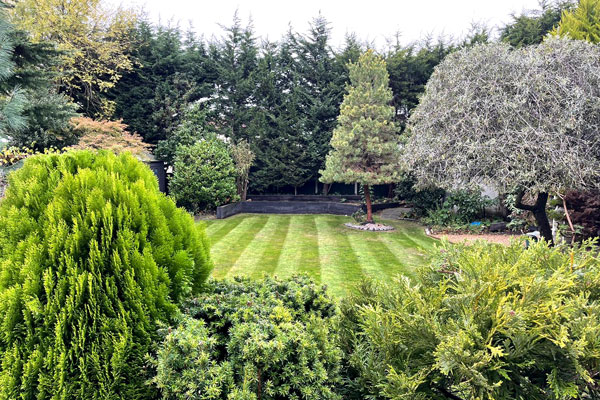 Previous TR Gardening project Example of previous TR Gardening work
